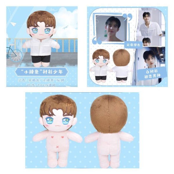 画像1: 20cmdoll ソン・ウェイロン 宋威龍 宋威龙 ぬいぐるみ  (1)