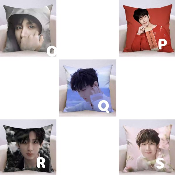 画像3: 成毅 チョンイー クッションカバー  005 (3)