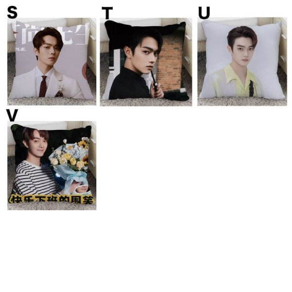 画像3: 许凯 許凱 / シュー・カイ xukai クッションカバーA 014 シューカイ (3)