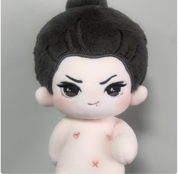 画像2: 【ご予約】20/ 20cmdoll 蔵海伝 シャオジャン ぬいぐるみ 着用風 029 藏海传 肖战 シャオジャン シャオ・ジャン (2)