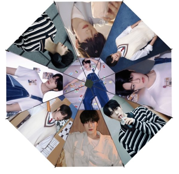 画像1: 曾辉 ゼン・フイ ゼンフイ ZENGHUI 晴雨兼用傘  005 (1)