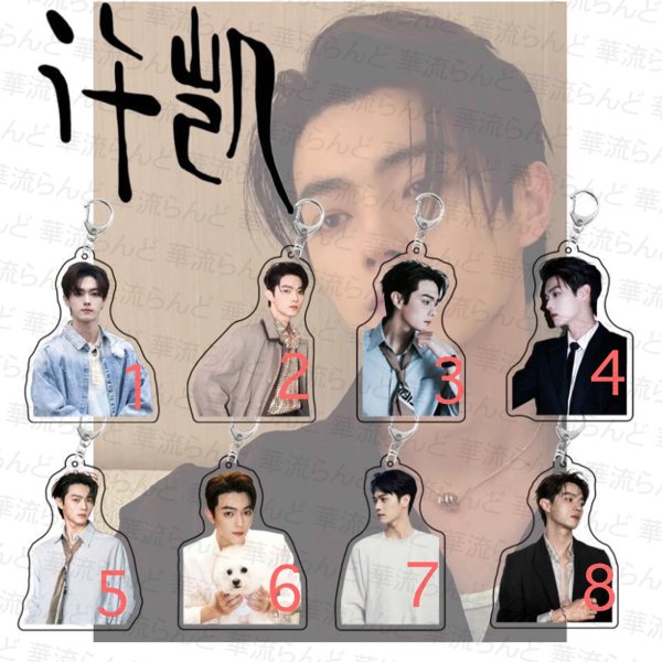 画像1: 許凱 许凯 シュー・カイ シューカイ XuKai アクキー 022 (1)