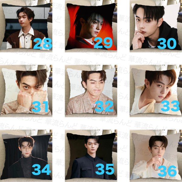 画像4: 許凱 许凯 シュー・カイ シューカイ XuKai クッションカバー 033 (4)