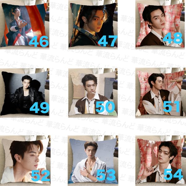 画像6: 許凱 许凯 シュー・カイ シューカイ XuKai クッションカバー 033 (6)