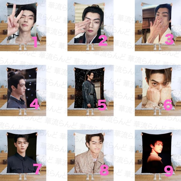 画像1: 許凱 许凯 シュー・カイ シューカイ XuKai ブランケット 034 (1)