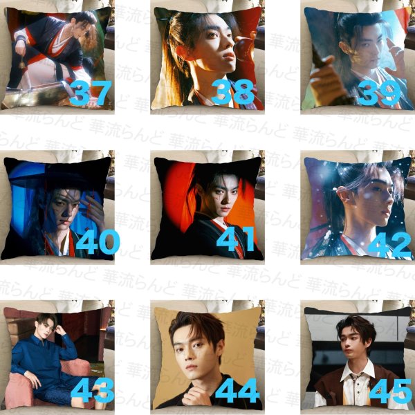 画像5: 許凱 许凯 シュー・カイ シューカイ XuKai クッションカバー 033 (5)