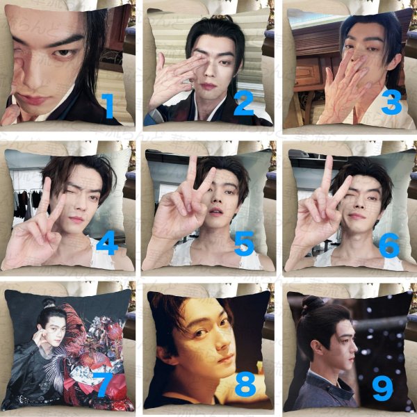 画像1: 許凱 许凯 シュー・カイ シューカイ XuKai クッションカバー 033 (1)