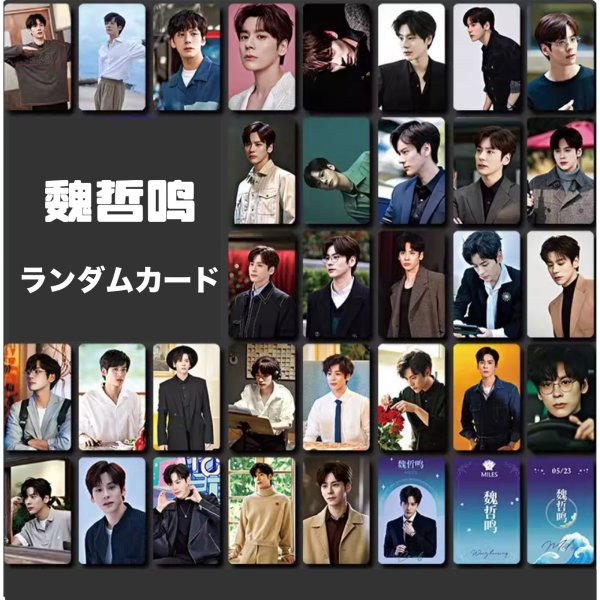 画像1: 魏哲鸣 ランダムカード10枚セット 魏哲鳴 ウェイジャーミン ウェイ・ジャーミン WeiZheming  019 (1)