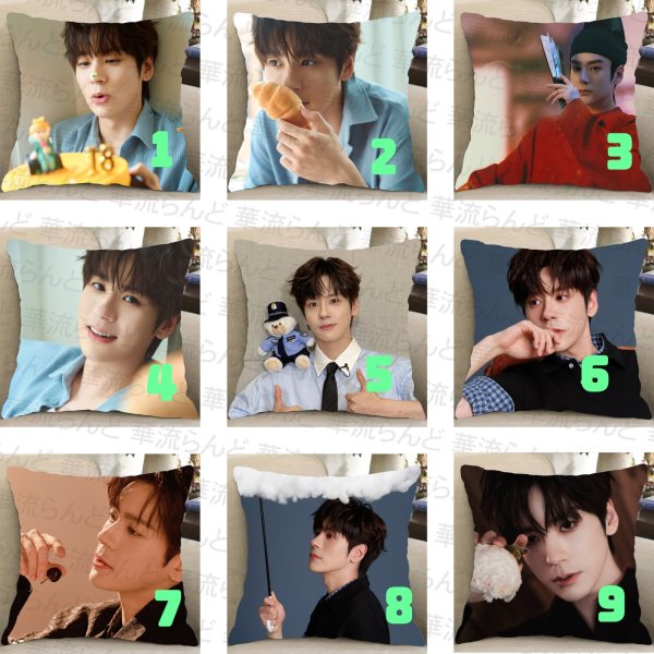 画像1: 魏哲鸣 クッションカバー 魏哲鳴 ウェイジャーミン ウェイ・ジャーミン WeiZheming  030 (1)