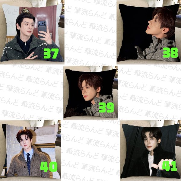 画像5: 魏哲鸣 クッションカバー 魏哲鳴 ウェイジャーミン ウェイ・ジャーミン WeiZheming  030 (5)