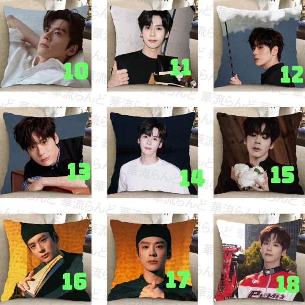 画像2: 魏哲鸣 クッションカバー 魏哲鳴 ウェイジャーミン ウェイ・ジャーミン WeiZheming  030 (2)