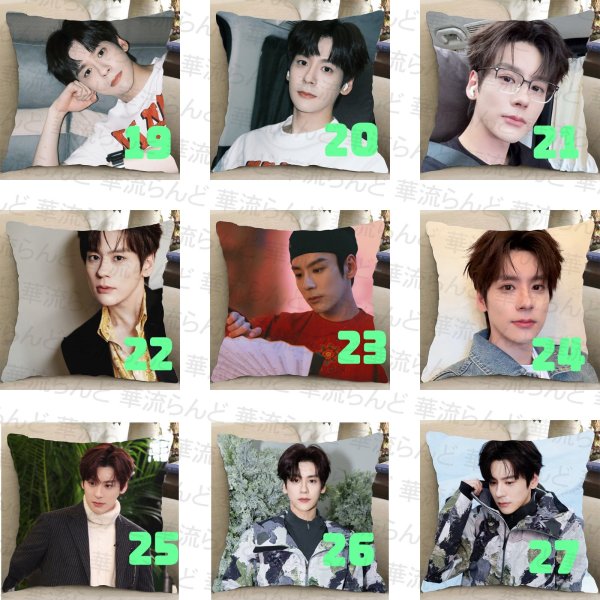 画像3: 魏哲鸣 クッションカバー 魏哲鳴 ウェイジャーミン ウェイ・ジャーミン WeiZheming  030 (3)