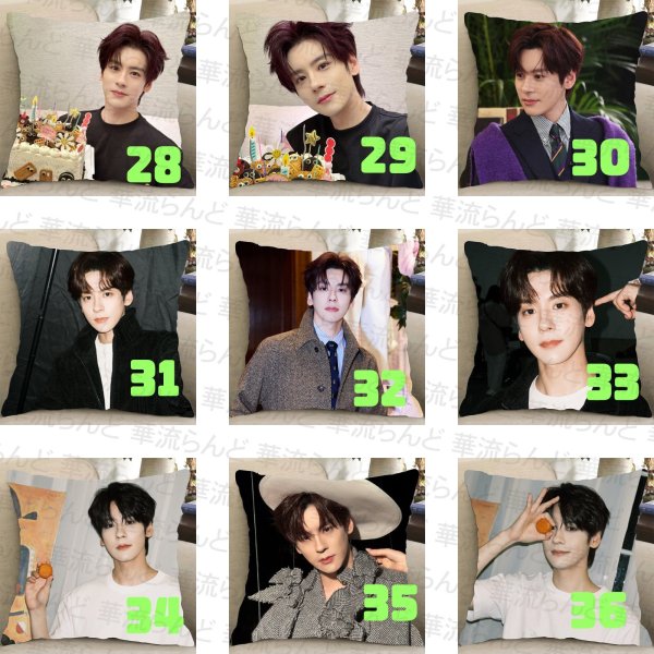 画像4: 魏哲鸣 クッションカバー 魏哲鳴 ウェイジャーミン ウェイ・ジャーミン WeiZheming  030 (4)