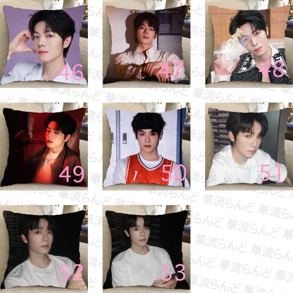 画像6: 曾辉 ゼン・フイ ゼンフイ ZENGHUI クッションカバー 014 (6)