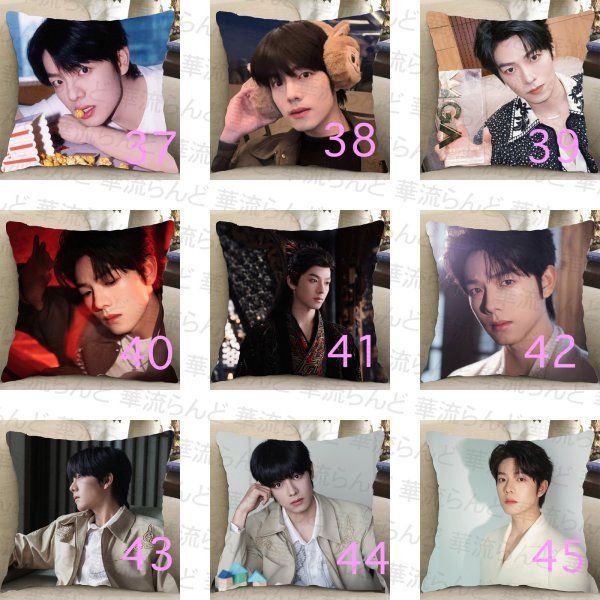 画像5: 曾辉 ゼン・フイ ゼンフイ ZENGHUI クッションカバー 014 (5)