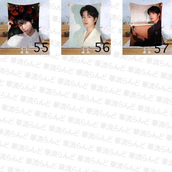 画像7: 曾辉 ゼン・フイ ゼンフイ ZENGHUI ブランケット 015 (7)