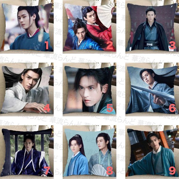 画像1: 山河令 クッションカバー 張哲瀚 张哲瀚 チャン・ジャーハン チャンジャーハン ZhangZhehan 龔俊 龚俊 ゴン・ジュン ゴンジュン GongJun 006 (1)