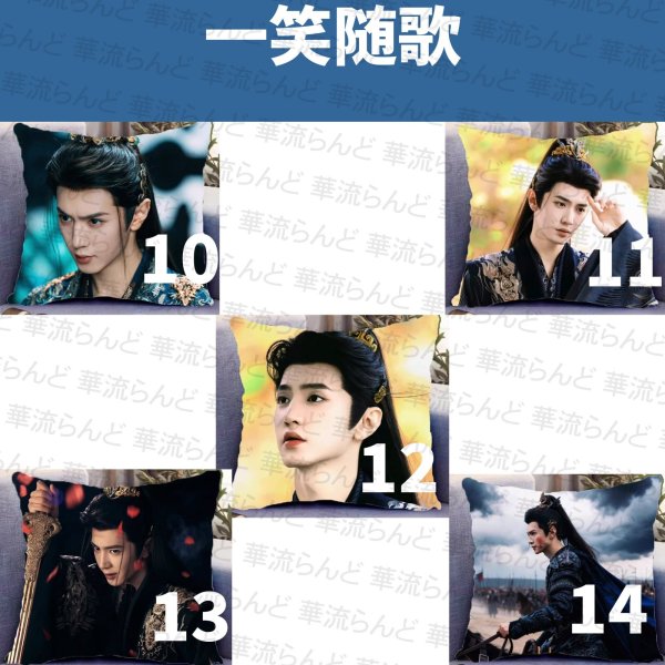 画像2: 一笑随歌 45cm×45cmクッションカバー 003 陳哲遠 陈哲远 チェン・ジョーユエン チェンジョーユエン ChenZheyuan 李沁 リー・チン リーチン LiQin (2)