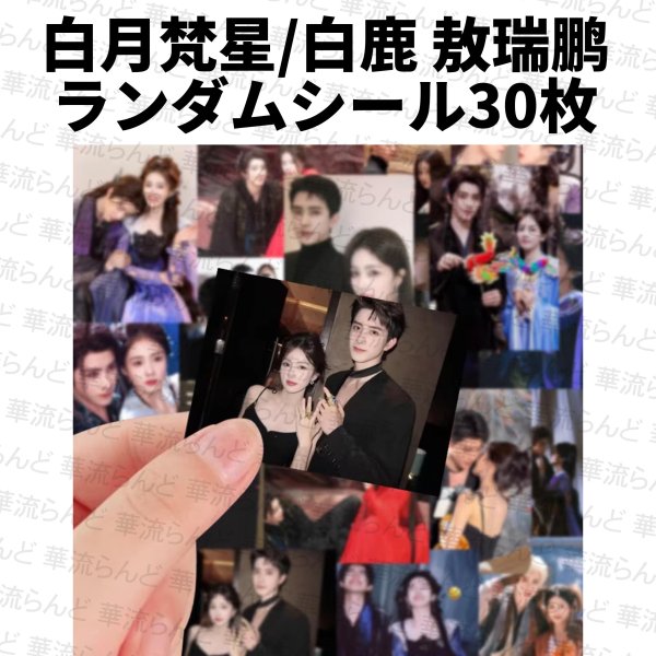 画像1: 白月梵星 ランダムシール30枚セット 002 敖瑞鵬 敖瑞鹏 アオ・ルイポン アオルイポン AoRuipeng 白鹿 バイ・ルー バイルー BaiLu (1)