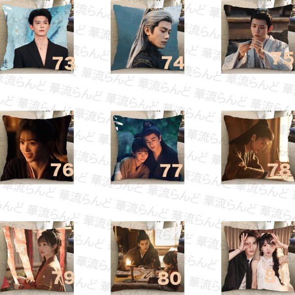 画像9: 逐玉 45CM × 45CM クッションカバー 032 ジャンリンホー 張凌赫 张凌赫 Zhang Linghe ティエンシーウェイ 田曦薇 Tian Xiwei チャンリンホー (9)