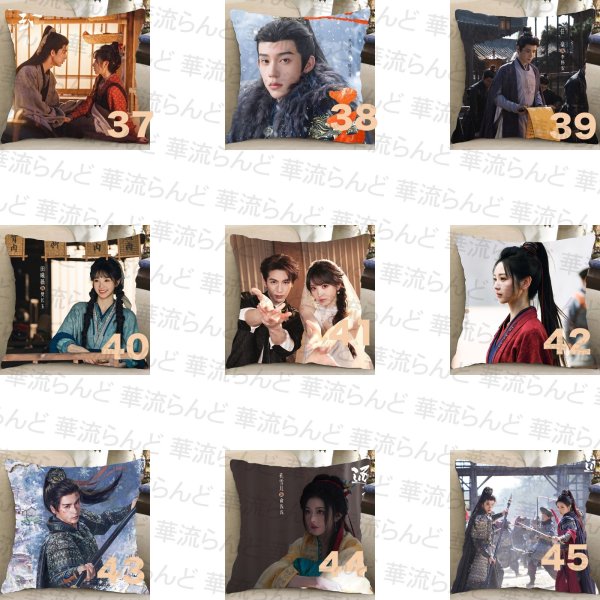 画像5: 逐玉 45CM × 45CM クッションカバー 032 ジャンリンホー 張凌赫 张凌赫 Zhang Linghe ティエンシーウェイ 田曦薇 Tian Xiwei チャンリンホー (5)