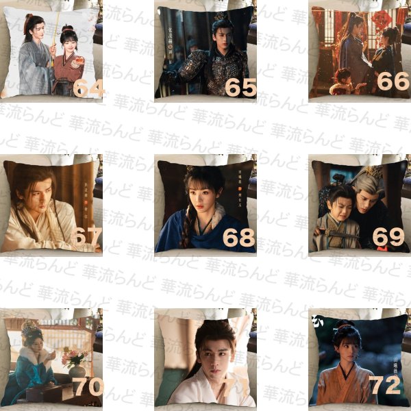 画像8: 逐玉 45CM × 45CM クッションカバー 032 ジャンリンホー 張凌赫 张凌赫 Zhang Linghe ティエンシーウェイ 田曦薇 Tian Xiwei チャンリンホー (8)