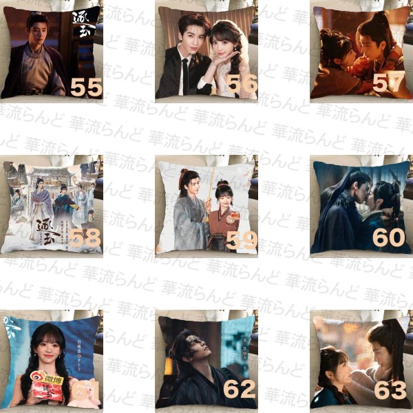 画像7: 逐玉 45CM × 45CM クッションカバー 032 ジャンリンホー 張凌赫 张凌赫 Zhang Linghe ティエンシーウェイ 田曦薇 Tian Xiwei チャンリンホー (7)