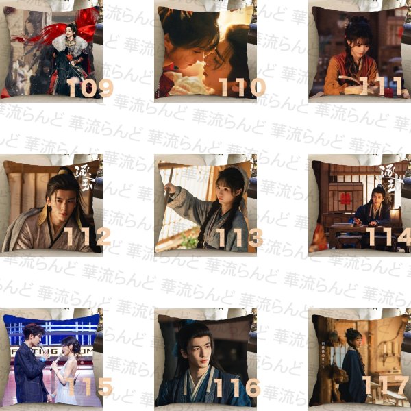 画像13: 逐玉 45CM × 45CM クッションカバー 032 ジャンリンホー 張凌赫 张凌赫 Zhang Linghe ティエンシーウェイ 田曦薇 Tian Xiwei チャンリンホー (13)