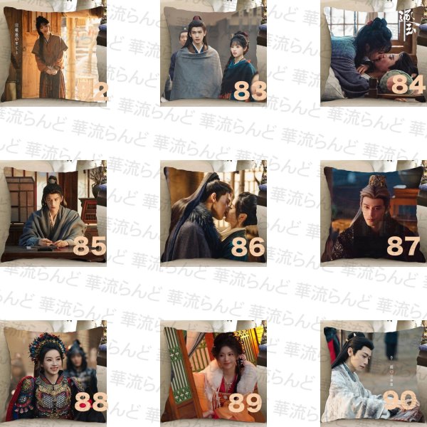 画像10: 逐玉 45CM × 45CM クッションカバー 032 ジャンリンホー 張凌赫 张凌赫 Zhang Linghe ティエンシーウェイ 田曦薇 Tian Xiwei チャンリンホー (10)