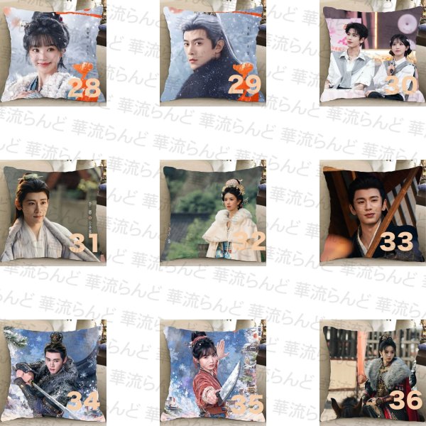 画像4: 逐玉 45CM × 45CM クッションカバー 032 ジャンリンホー 張凌赫 张凌赫 Zhang Linghe ティエンシーウェイ 田曦薇 Tian Xiwei チャンリンホー (4)