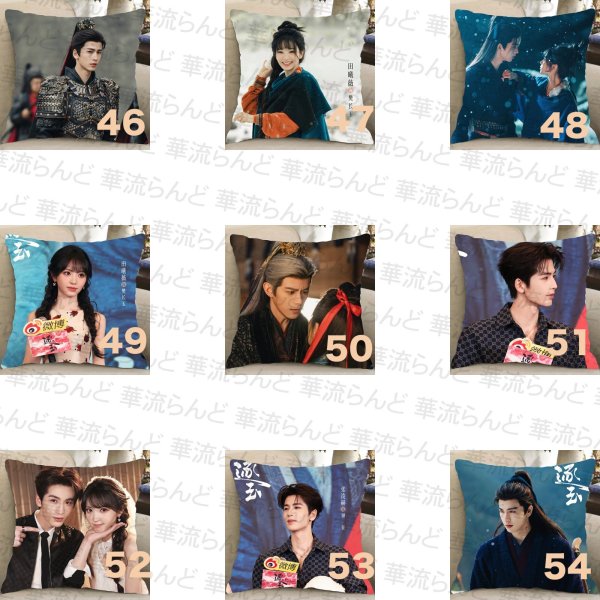 画像6: 逐玉 45CM × 45CM クッションカバー 032 ジャンリンホー 張凌赫 张凌赫 Zhang Linghe ティエンシーウェイ 田曦薇 Tian Xiwei チャンリンホー (6)