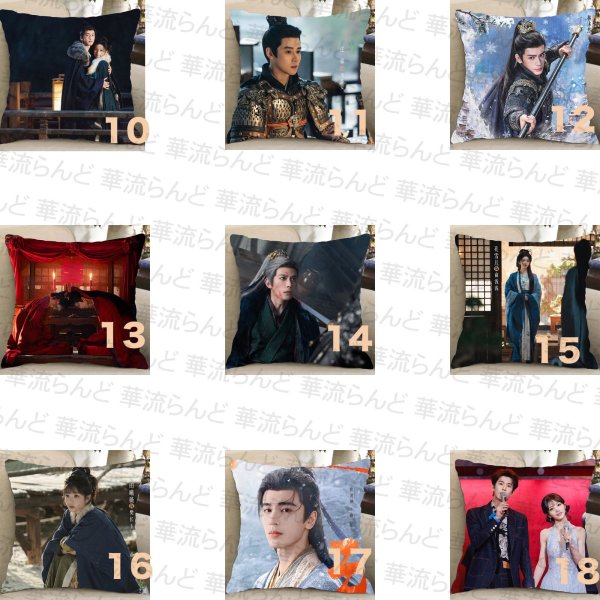 画像2: 逐玉 45CM × 45CM クッションカバー 032 ジャンリンホー 張凌赫 张凌赫 Zhang Linghe ティエンシーウェイ 田曦薇 Tian Xiwei チャンリンホー (2)