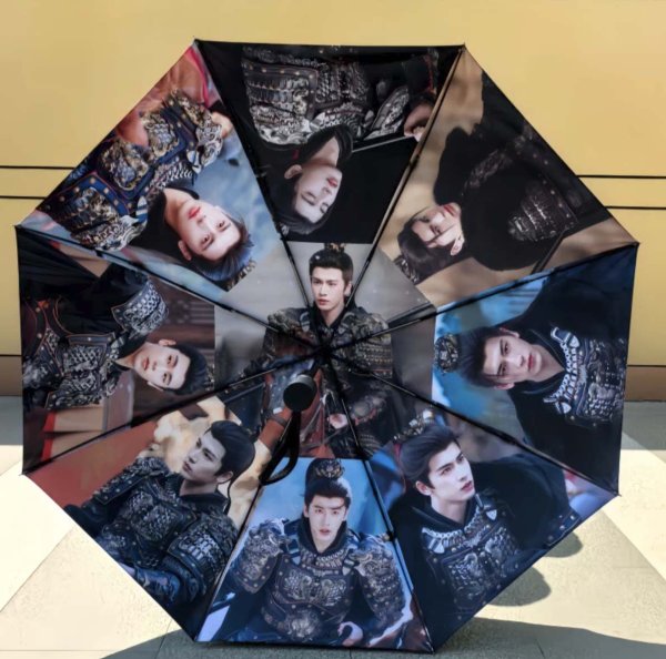 画像1: 逐玉 折りたたみ傘 035 ジャンリンホー 張凌赫 张凌赫 チャンリンホー (1)