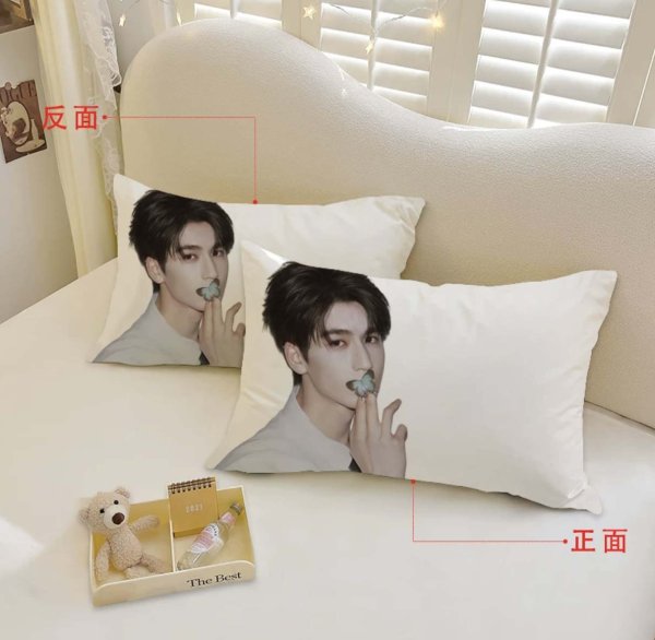 画像1: 張凌赫 ジャンリンホー 枕カバー 012 ZhangLinghe 张凌赫 チャンリンホー (1)