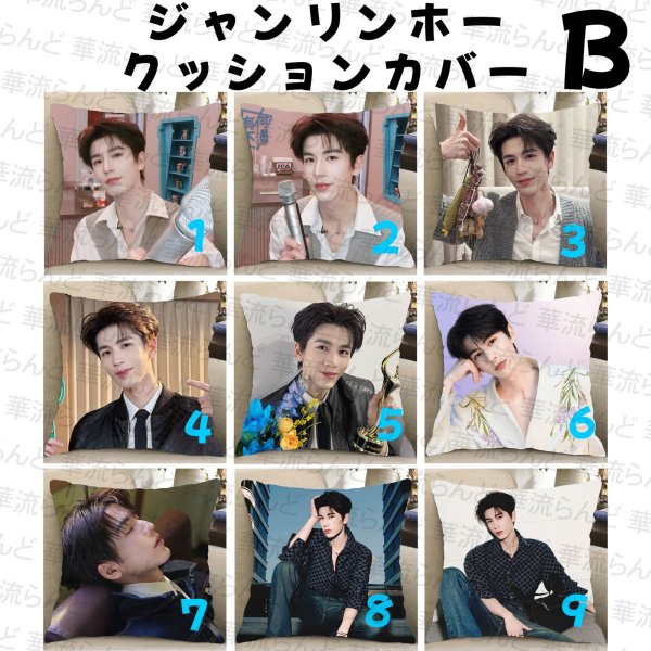 画像2: 張凌赫 ジャンリンホー 45cm×45cm クッションカバー 047 ZhangLinghe 张凌赫 チャンリンホー (2)