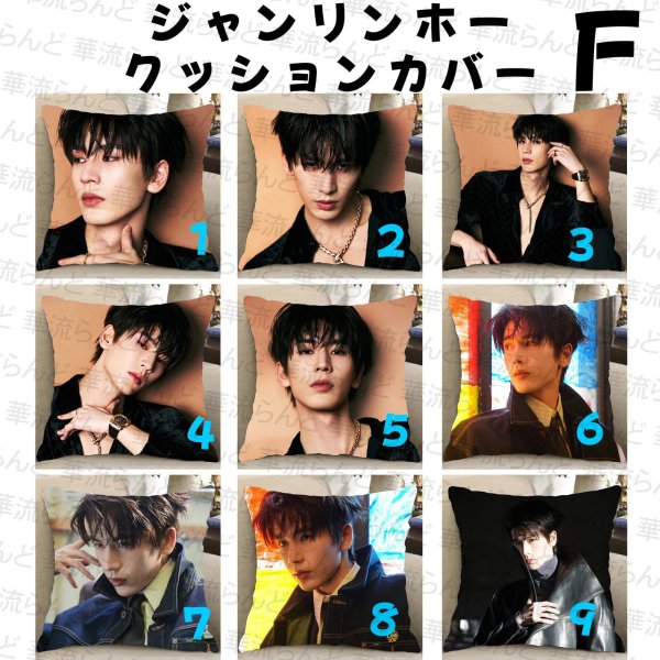 画像6: 張凌赫 ジャンリンホー 45cm×45cm クッションカバー 047 ZhangLinghe 张凌赫 チャンリンホー (6)