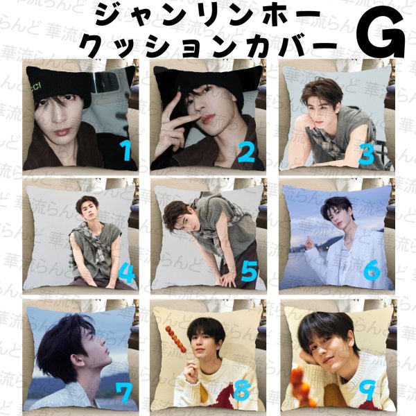 画像7: 張凌赫 ジャンリンホー 45cm×45cm クッションカバー 047 ZhangLinghe 张凌赫 チャンリンホー (7)