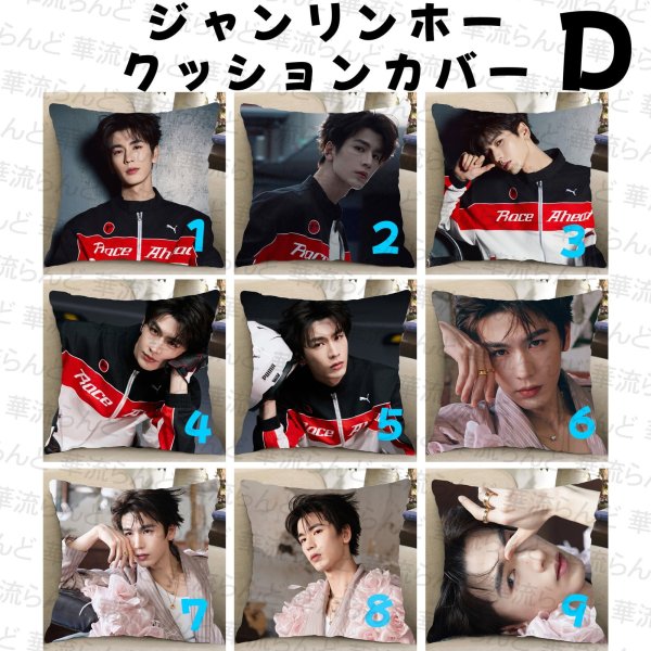 画像4: 張凌赫 ジャンリンホー 45cm×45cm クッションカバー 047 ZhangLinghe 张凌赫 チャンリンホー (4)