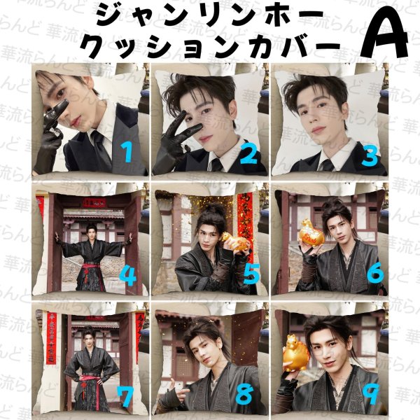 画像1: 張凌赫 ジャンリンホー 45cm×45cm クッションカバー 047 ZhangLinghe 张凌赫 チャンリンホー (1)