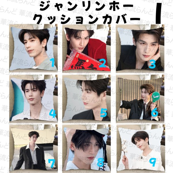 画像9: 張凌赫 ジャンリンホー 45cm×45cm クッションカバー 047 ZhangLinghe 张凌赫 チャンリンホー (9)