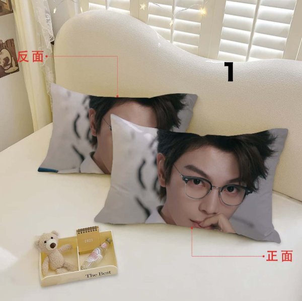 画像1: 丁禹兮 枕カバー 003 ディン・ユーシー ディンユーシー DingYuxi (1)