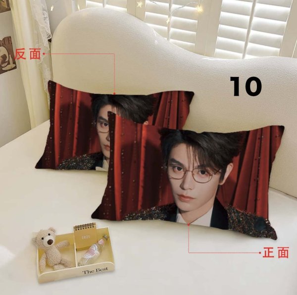 画像10: 丁禹兮 枕カバー 003 ディン・ユーシー ディンユーシー DingYuxi (10)