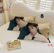 画像8: 丁禹兮 枕カバー 003 ディン・ユーシー ディンユーシー DingYuxi (8)