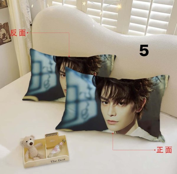 画像5: 丁禹兮 枕カバー 003 ディン・ユーシー ディンユーシー DingYuxi (5)