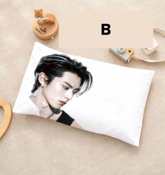 画像3: 王鶴棣 枕カバー 003 王鹤棣 ワン・ホーディー ワンホーディー DylanWang   (3)