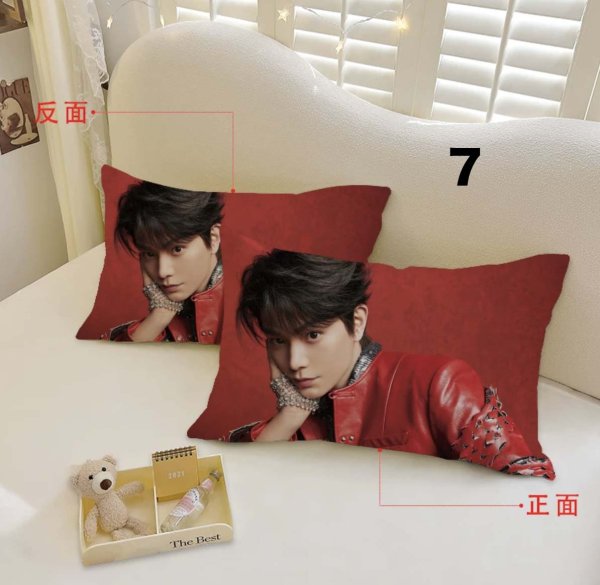 画像7: 丁禹兮 枕カバー 003 ディン・ユーシー ディンユーシー DingYuxi (7)