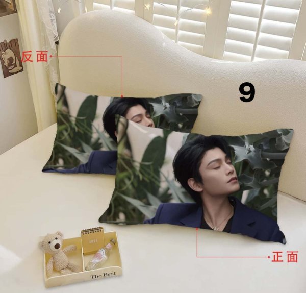 画像9: 丁禹兮 枕カバー 003 ディン・ユーシー ディンユーシー DingYuxi (9)