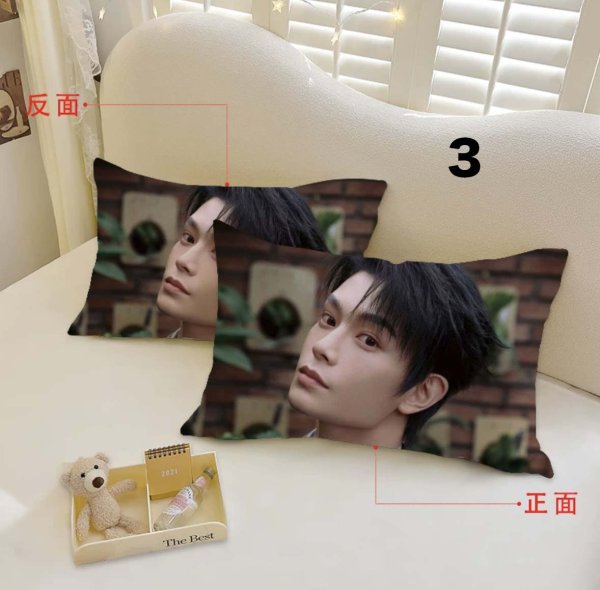 画像3: 丁禹兮 枕カバー 003 ディン・ユーシー ディンユーシー DingYuxi (3)