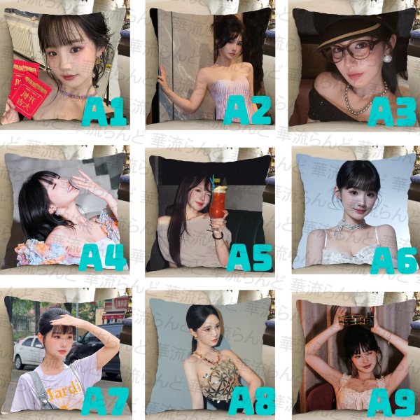 画像1: 贾翼瑄 45cm×45cm クッションカバー  002 ジアイーシュアン ジア・イーシュアン JiaYixuan (1)