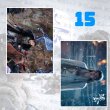 画像16: 逐玉 A4写真  067 ジャンリンホー 張凌赫 张凌赫 チャンリンホー 田曦薇 ティエンシーウェイ (16)